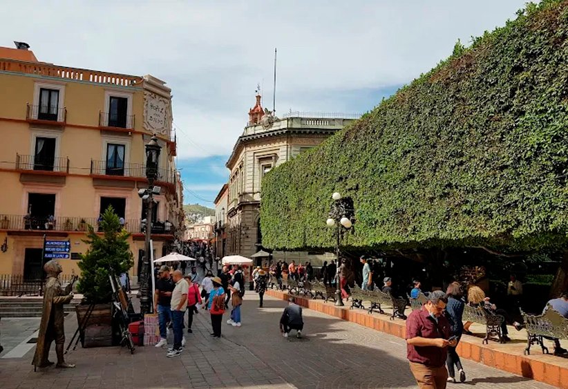 jardin_0003_Capa 16
